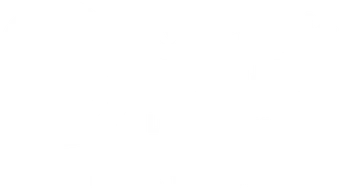 Genesis Solution logo